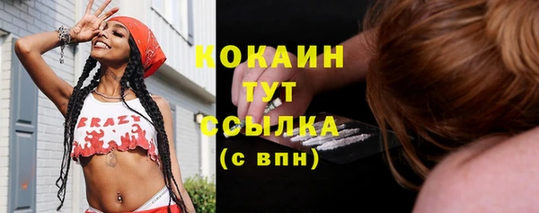 мяу мяу мука Белокуриха